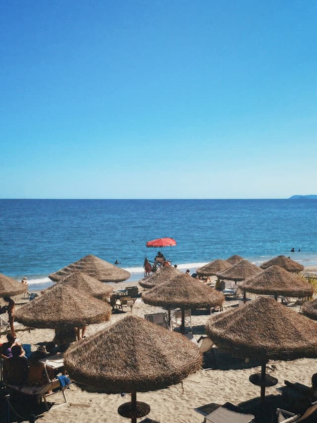 straw umbrellas shade a sunny beach with blue ocean water under a clear sky, featuring one red umbrella in the distance