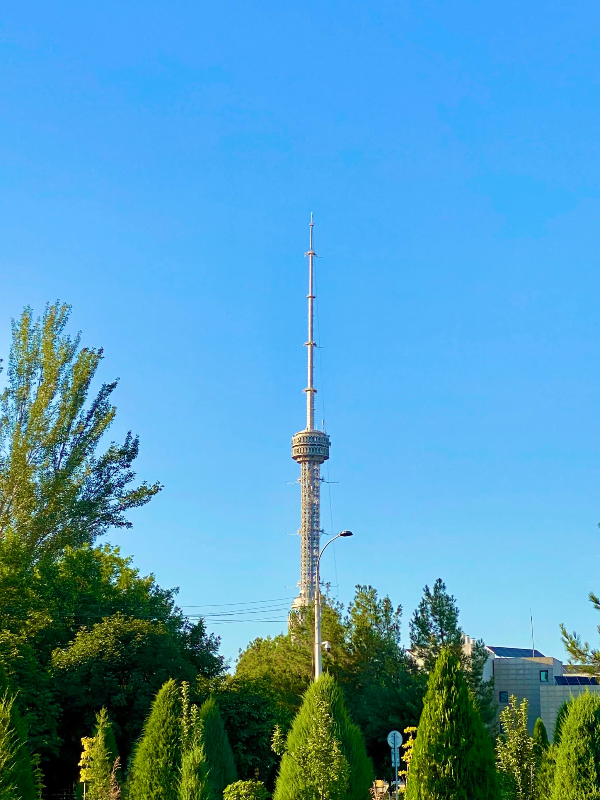 tall metal television tower rises above green trees under a clear blue sky in bright daylight during a summer afternoon