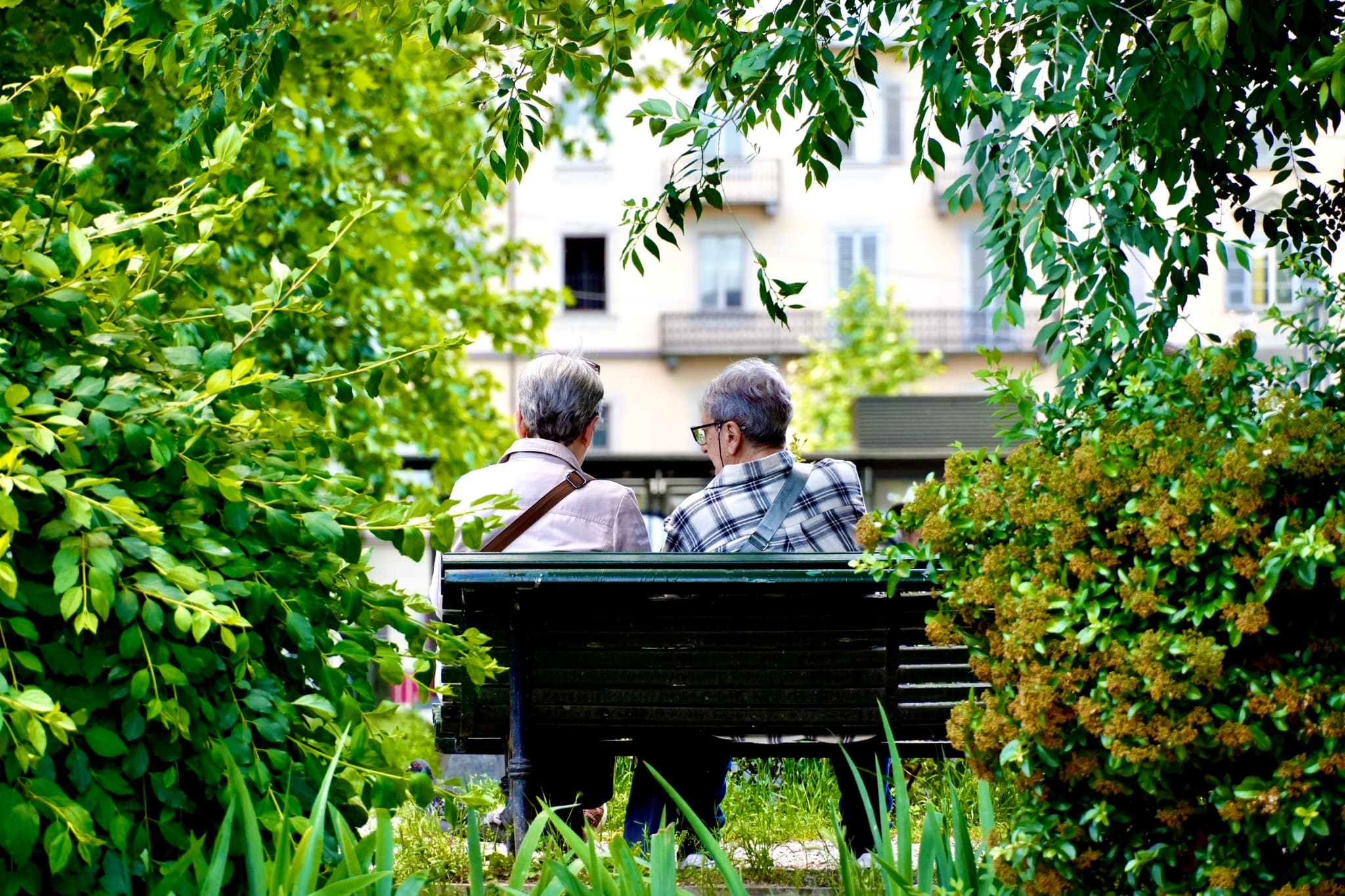 two older people sit on a park bench framed by green bushes with soft daylight hitting the city buildings behind them