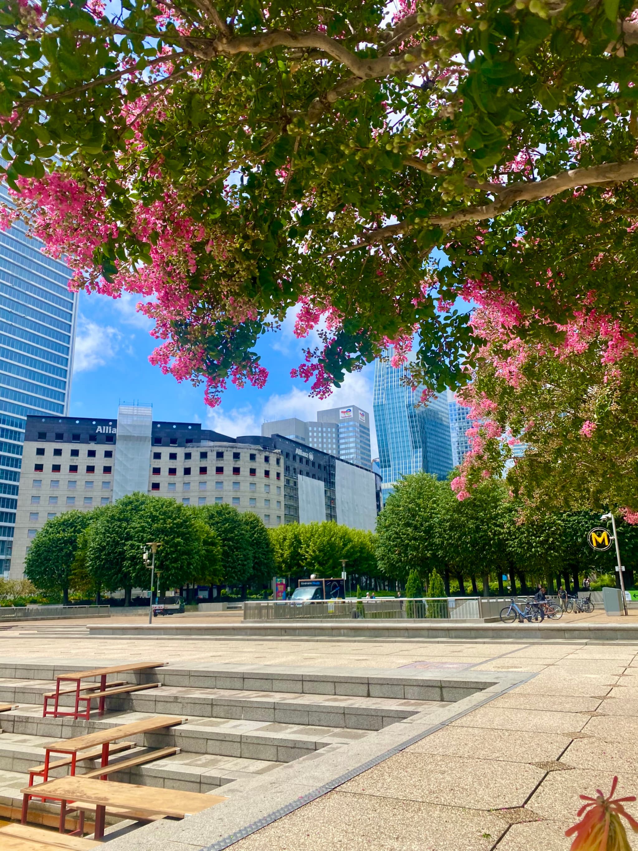 pink crape myrtle flowers frame a sunny parisian plaza with concrete steps, modern office buildings, and green trees under a blue sky