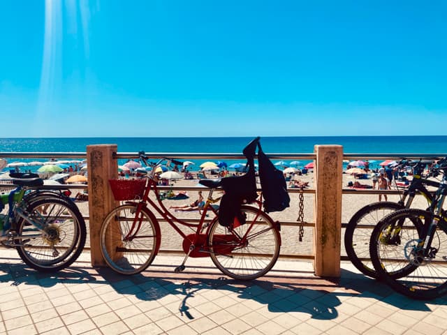 red bicycle parked on a sunny boardwalk overlooking a crowded beach with blue water under a clear sky during the day
