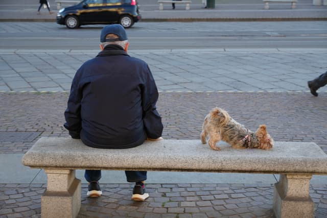 an elderly man sits on a stone bench next to a small dog in a city square under flat daylight