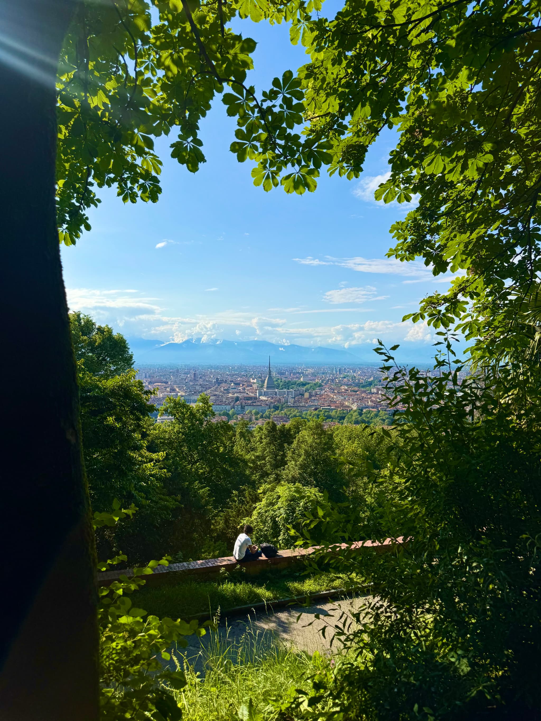 a person sits on a stone wall overlooking the city of turin under bright sunlight framed by green tree branches in summer
