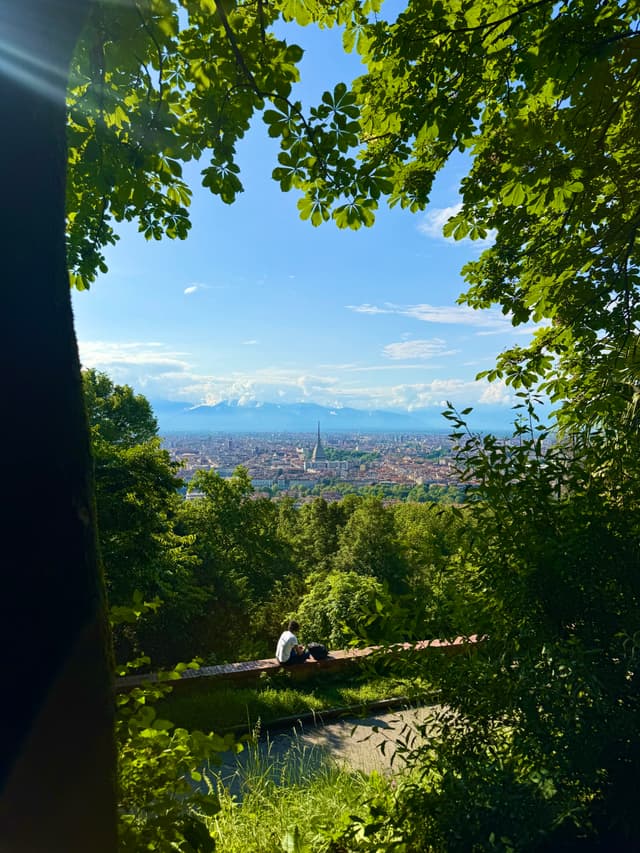 a person sits on a stone wall overlooking the city of turin under bright sunlight framed by green tree branches in summer