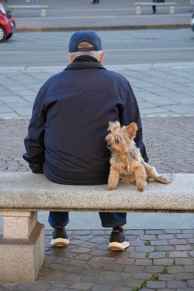 man in a blue jacket sits on a stone bench with a small terrier in daylight on a paved city street