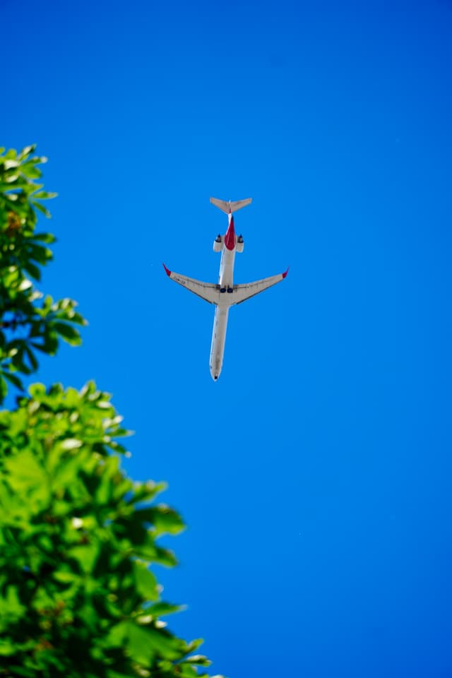 commercial airplane flying overhead against a clear blue sky, framed by green leaves in bright daylight from a low angle perspective
