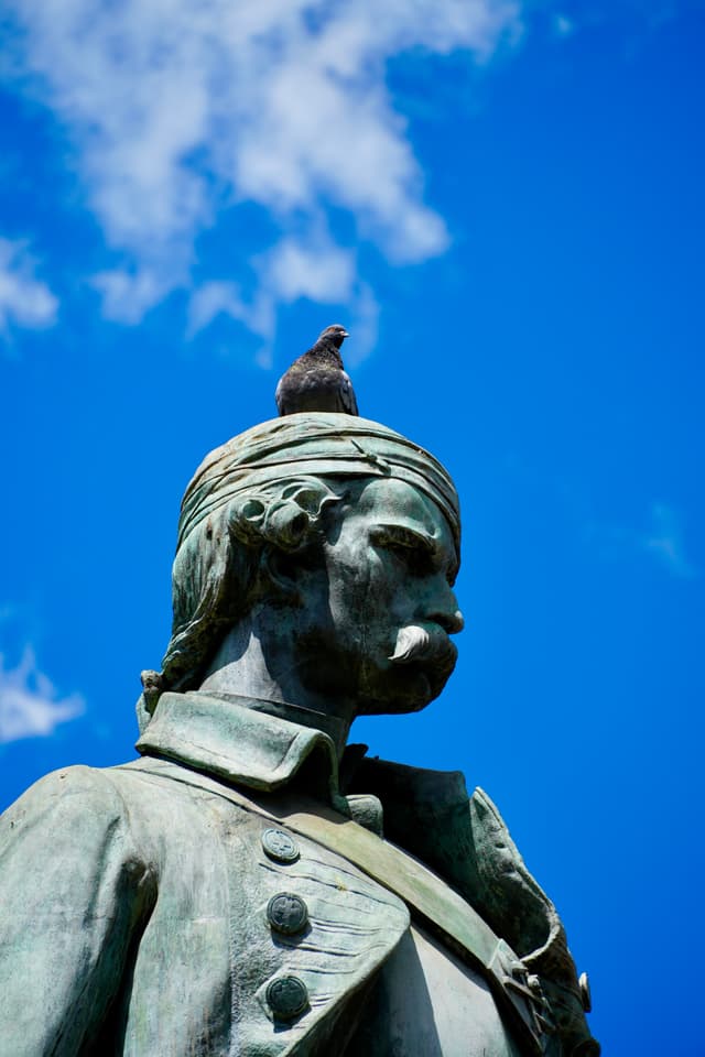 a gray pigeon sits on the head of a bronze soldier statue against a bright blue sky on a clear summer day