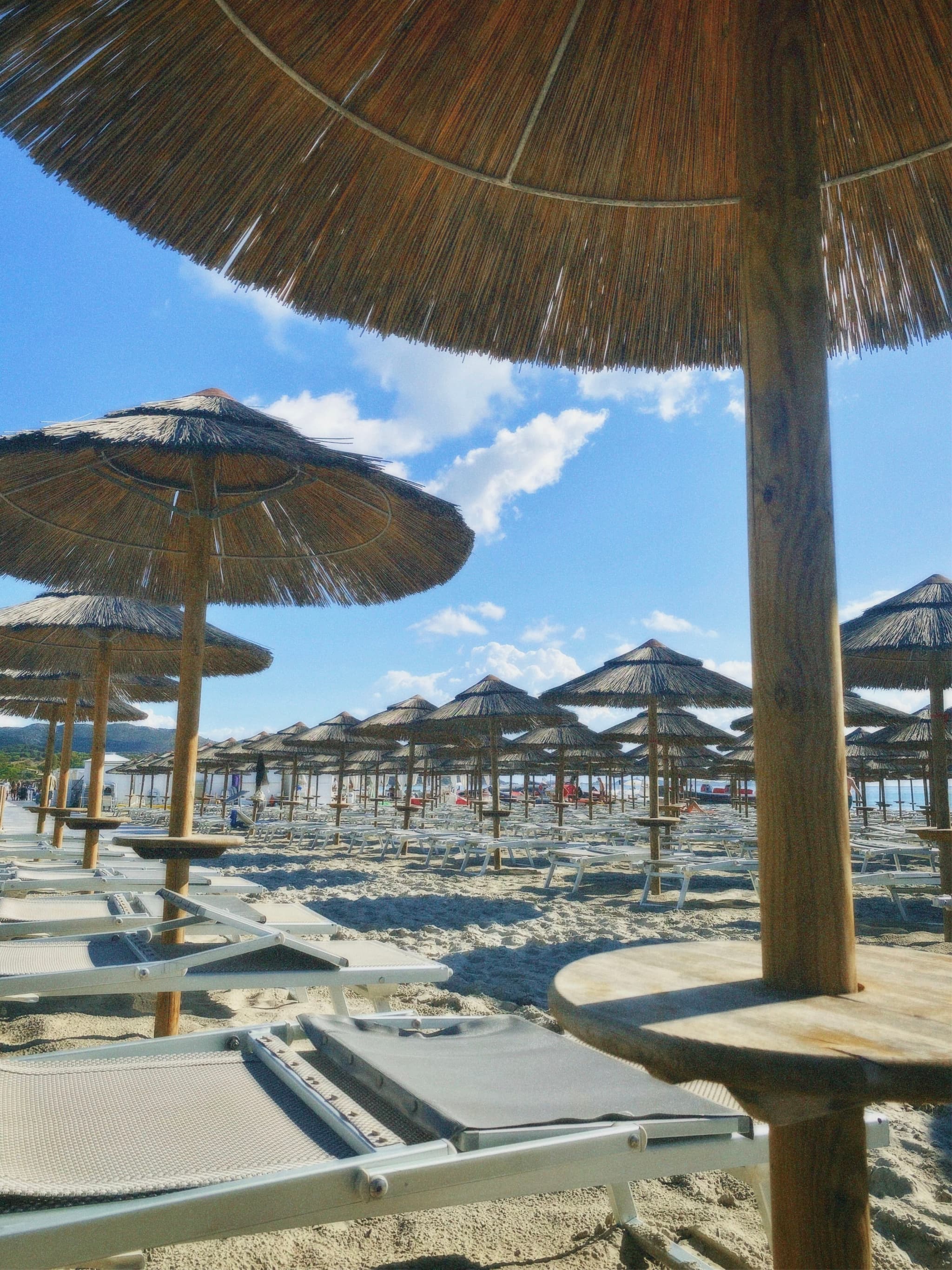 rows of straw umbrellas and empty lounge chairs on a sunny mediterranean beach under a clear blue sky during the day