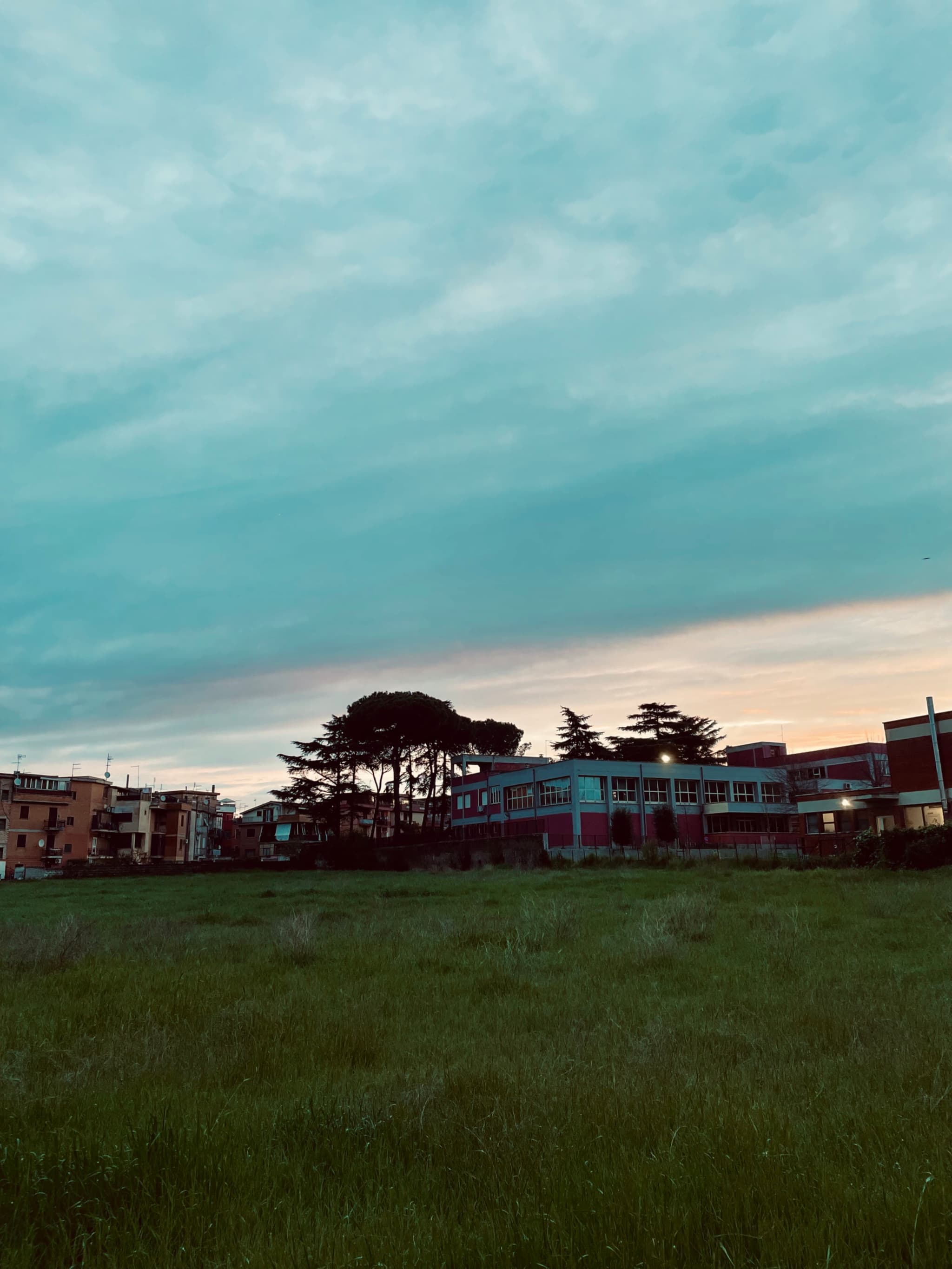 grassy field in front of suburban buildings under a blue sky at sunset with soft light and visible tree silhouettes