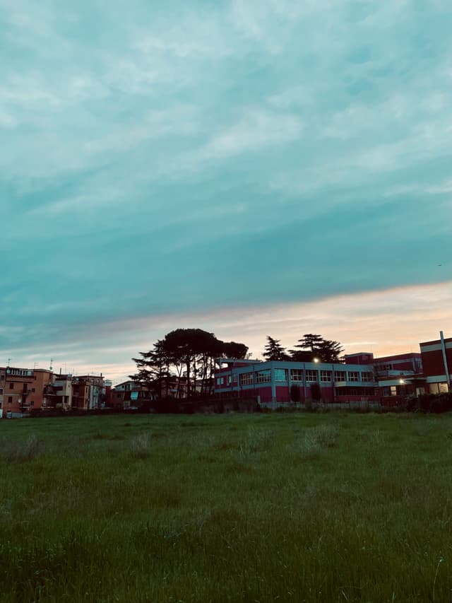 grassy field in front of suburban buildings under a blue sky at sunset with soft light and visible tree silhouettes