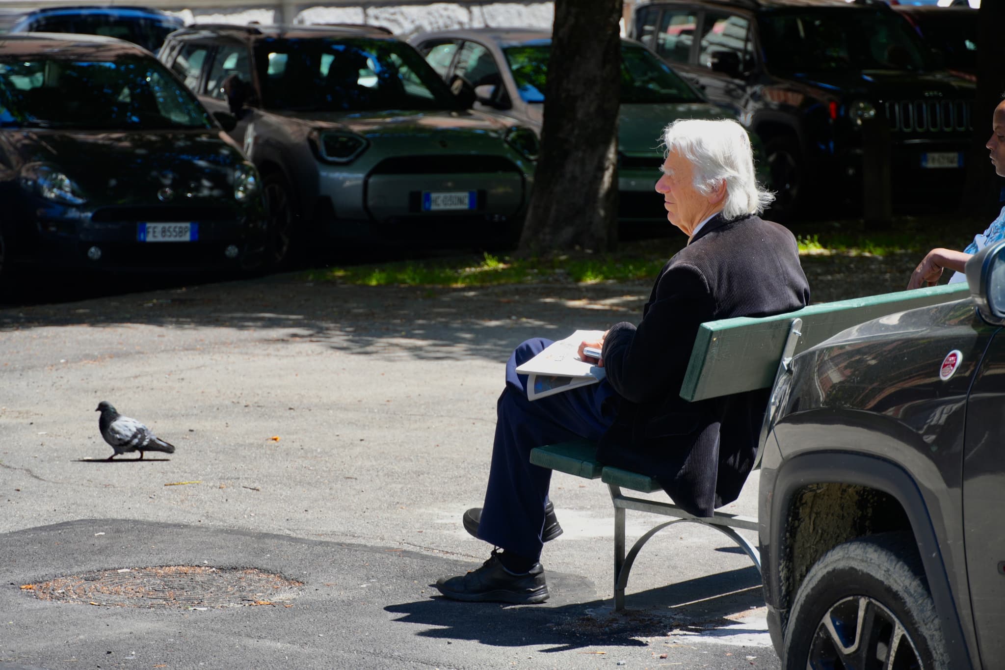 white-haired man sits on a park bench reading a newspaper near parked cars while a lone pigeon walks on the pavement