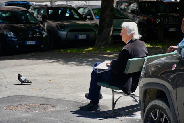 white-haired man sits on a park bench reading a newspaper near parked cars while a lone pigeon walks on the pavement