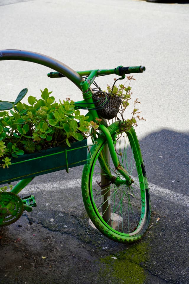 green bicycle planter parked on asphalt under bright sunlight with small plants growing from the frame and a metal basket attached