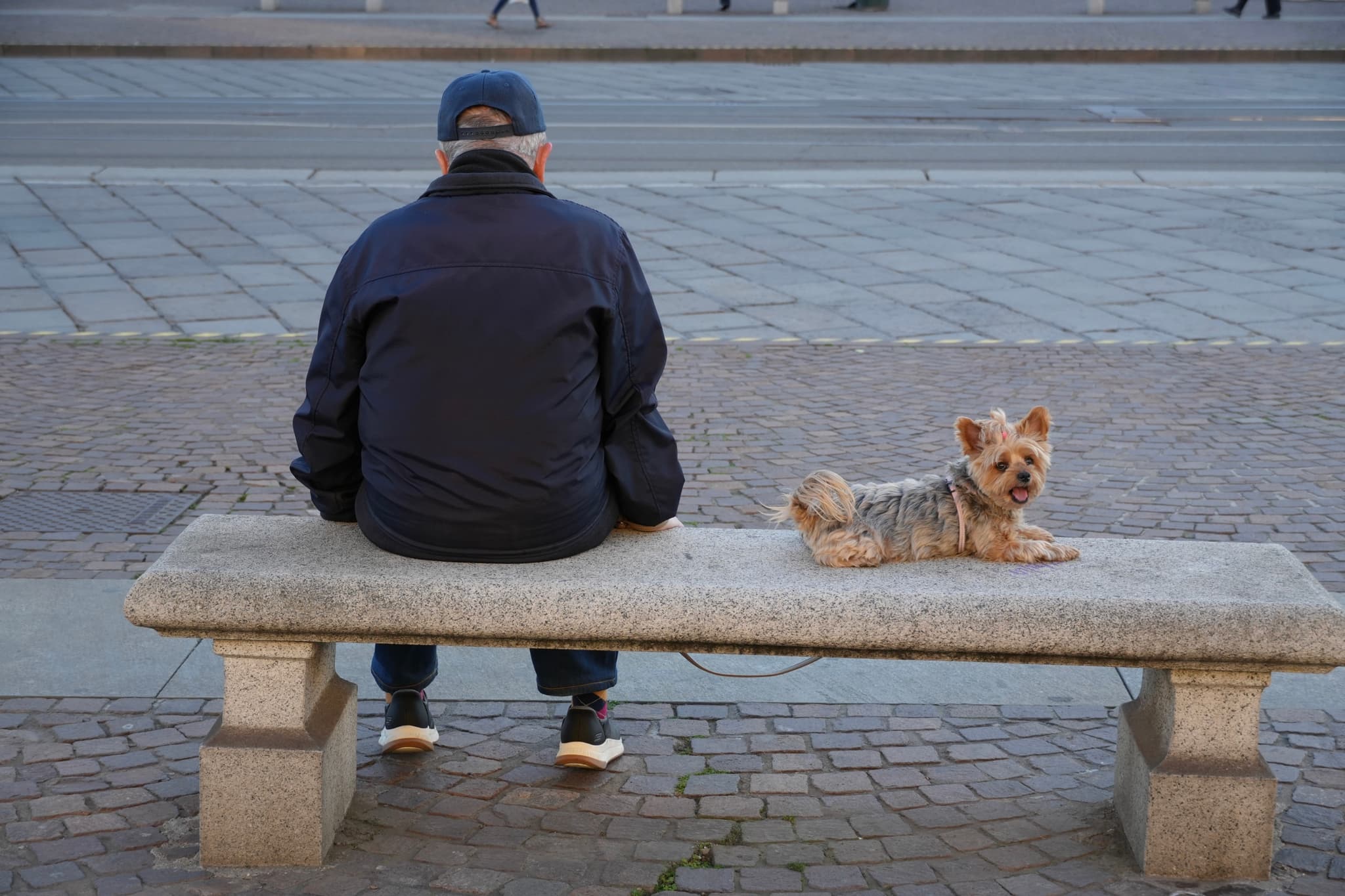 man in a dark jacket sits on a stone bench with a small dog under flat daylight on a paved city street