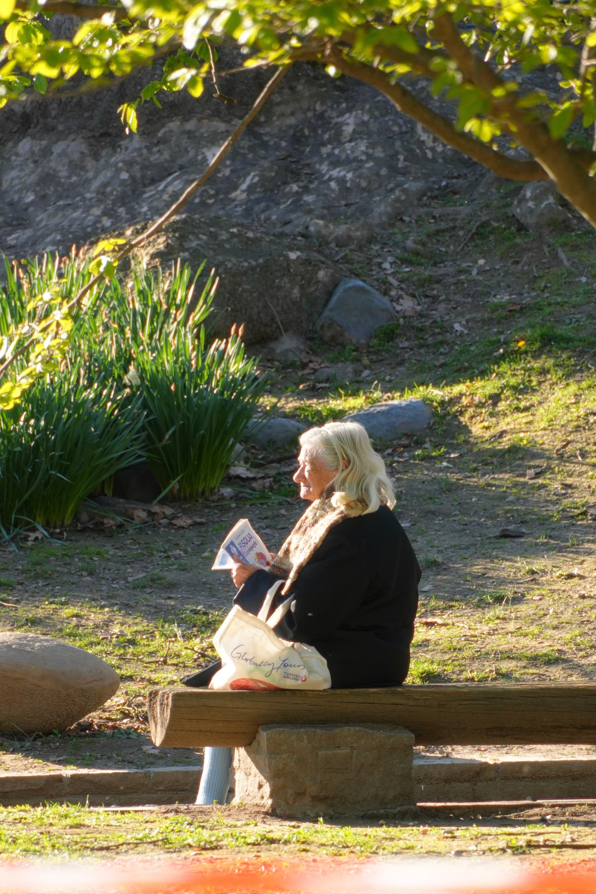 an elderly woman with white hair sits on a wooden bench in a park reading a newspaper under dappled afternoon sunlight